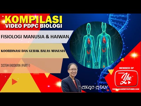 KOMPILASI VIDEO PDPC BIOLOGI I SISTEM ENDOKRIN (PART 1)