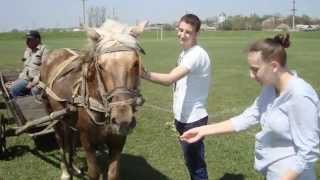 Болград, Васильевка, Каменка... Болград, Васильевка, Каменка...