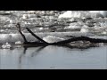 High water, ice drift 2021 on the Volga River/Половодье, ледоход 2021 на реке Волге