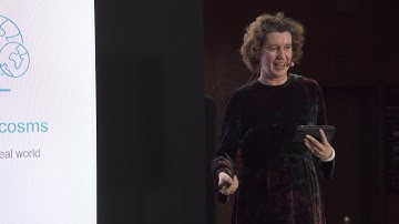 AlphaZero, chess and AI learning