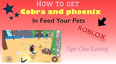 roblox feed your pets octoid