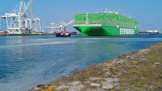 Ever Ace (Evergreen) in the Port of Rotterdam, The Netherlands - Part 2
