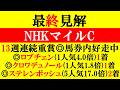 【NHKマイルC 最終見解 2026】エプソムC◎ステレンボッシュ(5人気17.0倍)2着！13週連続重賞◎馬券内！本命は最も軸向きのアノ馬だ！！
