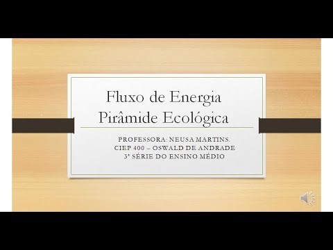 Vídeo: Por que a pirâmide é um modelo eficaz para quantificar o fluxo de energia?