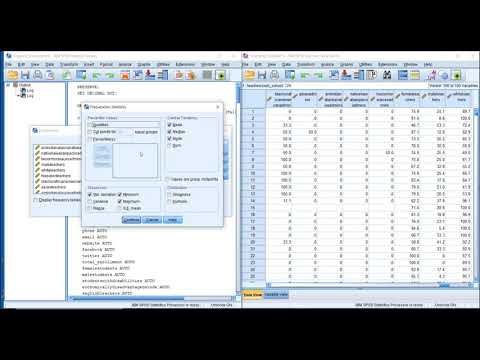 Video: Hur skapar jag en beskrivande tabell i SPSS?