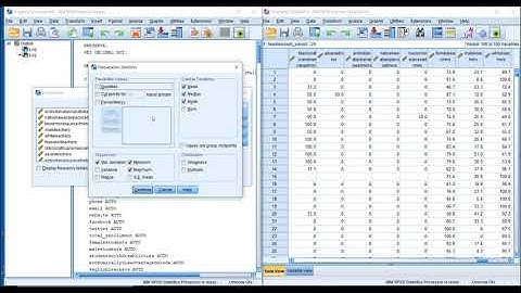 Using SPSS To Create a Descriptives Table