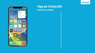 Tips & Tricks - iOS: Software update