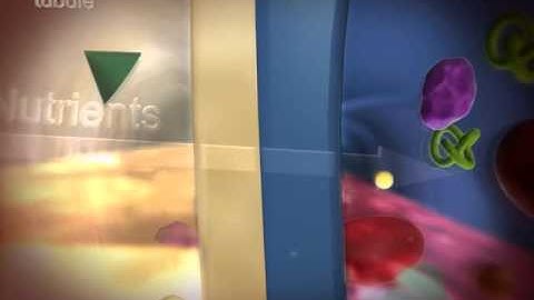 Reabsorption: Learn@Visible Body