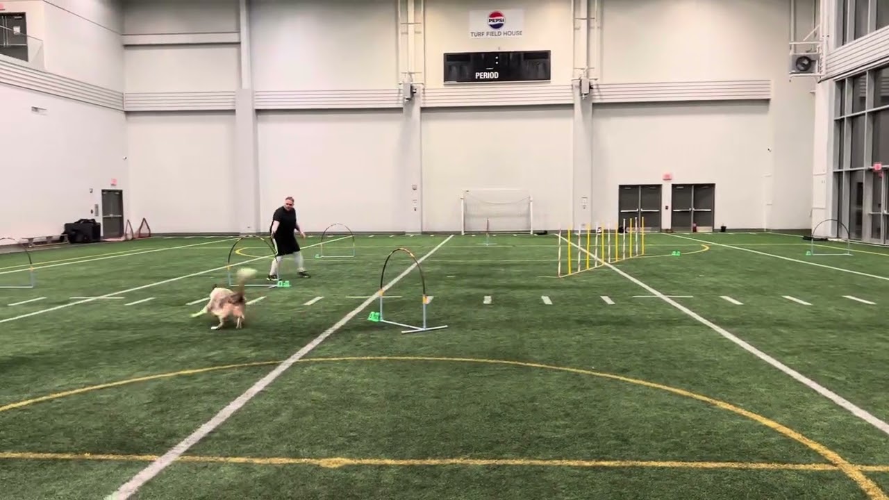 Wallace Pratt Elite Weavers - Rd 2 