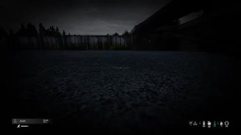 DayZ_ Tanked a double Shot blaze