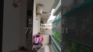 safety Net
