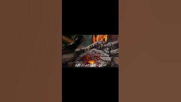 يَا قَوْمِ إِنَّمَا هَـٰذِهِ الْحَيَاةُ الدُّنْيَا مَتَاعٌ | محمد صديق المنشاوي | سورة غافر