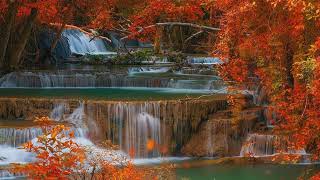 Deep Relaxation Piano – Soft, Calm & Peaceful Music for Rest