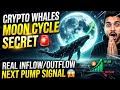 Crypto Whales Moon Cycle Secret 🚨 | Real Inflow/Outflow Next Pump Signal 😱