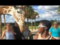 I Went Giraffe feeding at Serengeti/Nairobi Safari | FT Dossier fragrance