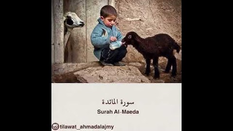 قرآن كريم بصوت احمد العجمي 🎤⚡ أجمل حالات واتس اب دينية مقاطع دينية قصيرة مقاطع انستقرام دينية