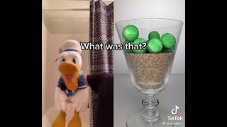 Donaldducc Minecraft