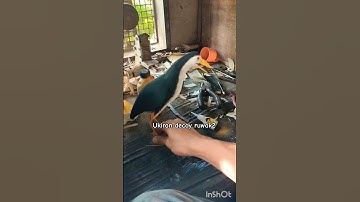 full video cara2 membuat Decoy ruwak2 #viral #birds #decoy #animals  #birdtraps