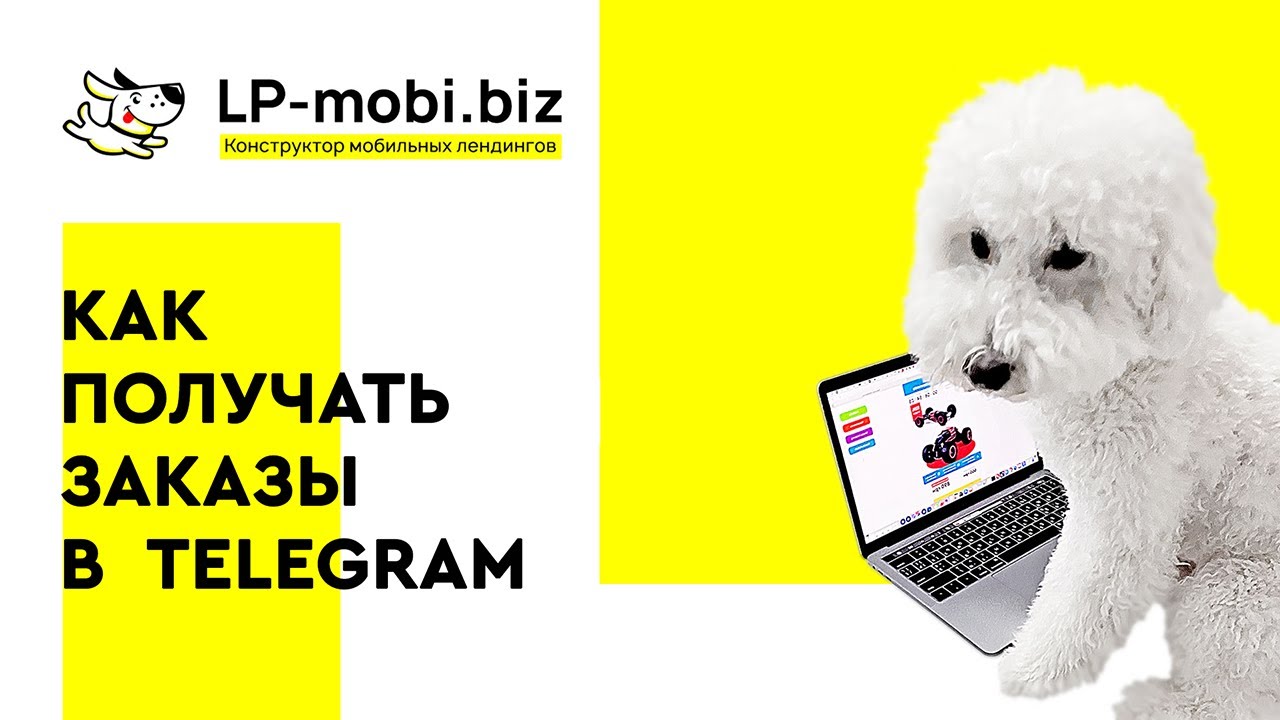 video LP Mobi