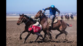 Көк бөрү боюнча Чүй облустук чемпионаты жыйынтыкталды