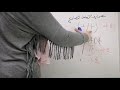 عندك مشكلة فى تصريف الفعل يبقى الدرس ده ليك تصريف الأفعال فى اللغة الكورية فى زمن المضارع بسهولة