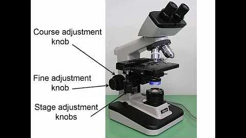 A&P Microscope