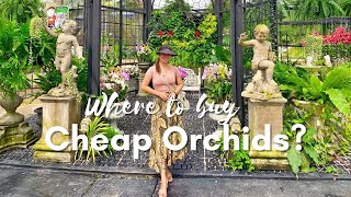 WHERE TO BUY CHEAP ORCHIDS || AIR ORCHIDS FARM NAKHON PATHOM,THAILAND