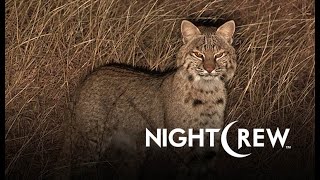 Night Crew TV |The Other Side of the River | Free Episode