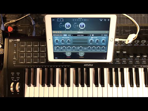 DIGITALISM 2000 Synth by AudioKit - Special Edition #5 - OUT NOW - Demo for the iPad