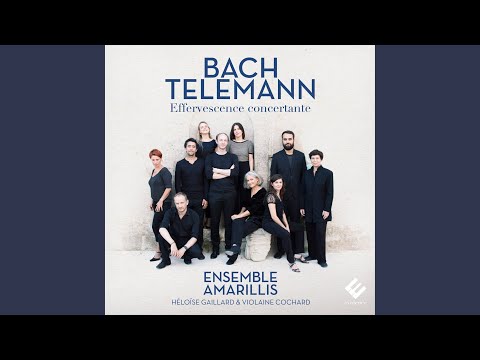 Watch Concerto for Recorder, Flute, Strings and Continuo in E Minor, TWV 52:e1: I. Largo on YouTube