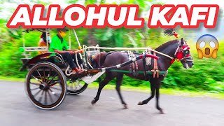 🐴 allahul kafi robbunal kafi wajadnal kafi Special Delman in Purbalingga | Purbalingga Delman Horse