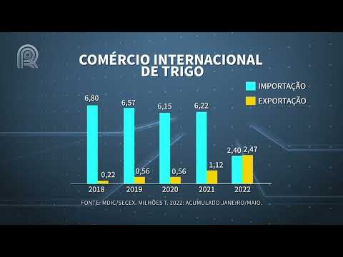 Exportação de trigo em 2022 já supera em 100% embarques de 2021 - Mercado & Cia - 07/06/22
