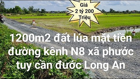 1200m2 đất lúa xã phước tuy mặt tiền đường kênh N8 [ khu vực được chuyển thổ cư]