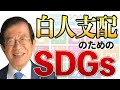 【公式】SDGsの真実!白人支配のための政策【武田邦彦】