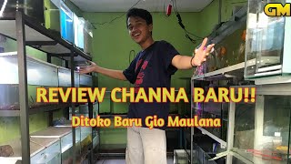 REVIEW CHANNA BARU!! - Di toko baru Gio Maulana