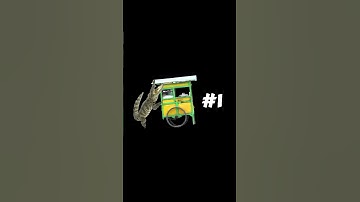 Travelling Salesman Problem Algoritma Genetik Clip #shorts #short #shortvideo