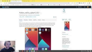 Как сделать SPLASH экран на Flutter (Экран Загрузки)