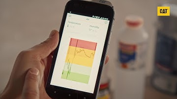 Cat S61 - How to use my air app?