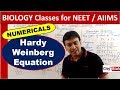 Hardy Weinberg Equation - Numericals & Concepts #NEET #AIIMS