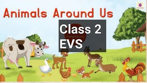 Animals Around Us | ch-14 class 2 EVS | Explanation | School Education | @RehanaEDUCATION