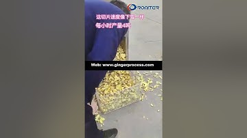 Automatic 4TPH Ginger Cutting Slicing Machine
