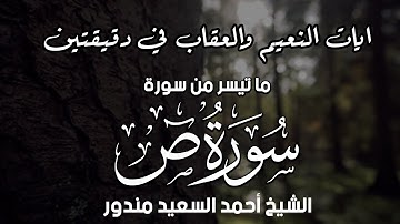 ايات النعيم والعذاب في دقيقتين | تلاوة مبكية من سورة ص - Surah Sad