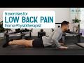 5 Physiotherapy Exercises For Low Back Pain | Adelaide Back Pain Physio