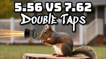 Double Taps on Squirrels... overkill?
