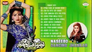 Naseebo Dancing Jhankar | Heera Vol 33 | Naseebo Lal Mujra Hit Songs | By King Of Jhankar Lollywood