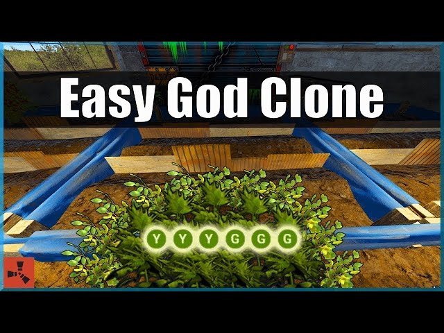 Crossbreed a God Clone the LAZY Way | Rust Farm Guide class=