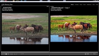 Horses near a Dugout - Photo Editing Process screenshot 5