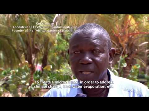 ⁣Agroecology in Senegal: Kaydara School Farm