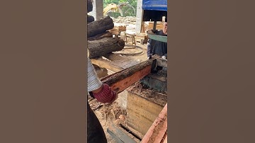 Tree Cutting Process- Good tools and machinery make work easy
