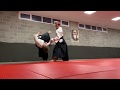 Aikido alex walnier defense against different kicks part 2